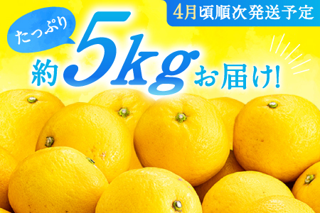 AA115.福岡柑橘王国.ニューサマーオレンジ約5kg／2027年4月配送