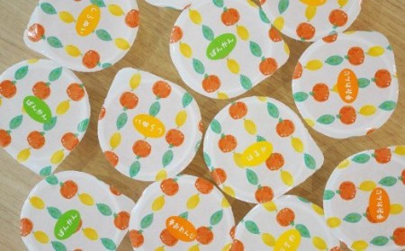 柑橘 フローズン ゼリー 40個 ゼリー みかん職人武田屋