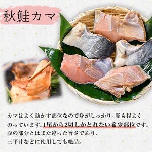 匠の厚切り マルア阿部商店特選 天然鮭 氷塩熟成食べ比べセット 秋鮭 サケ さけ 鮭 しゃけ 紅鮭 個包装 シャケ 切り身 魚 海鮮 セット 