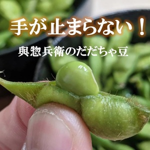 【令和8年産先行予約】メディアで大絶賛！「神の枝豆」と呼ばれた「與惣兵衛（よそべい）のだだちゃ豆」1.2kg　K-831