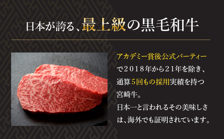 ＜宮崎牛＞ こま肉＆ミンチセット 計1kg (こま肉400g、ミンチ600g)_K049-001