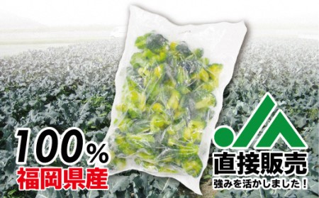 福岡県産 冷凍ブロッコリー3kg（1kg×3袋）[H2258]