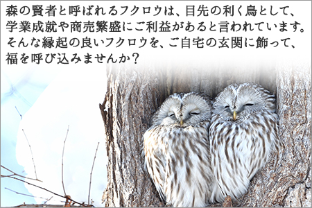 519.木製名入れ　手作り　 表札 ふくろう （夫婦） 小サイズ 北海道 弟子屈町