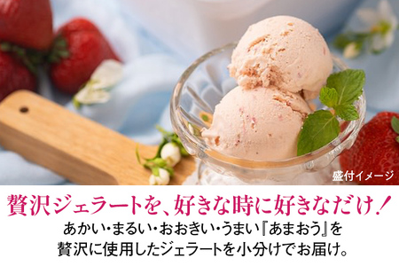 あまおうジェラート 100ml×6個 合計600ml ジェラート スイーツ あまおう 苺 冷凍 送料無料