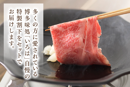 C115.博多和牛すき焼き用サーロイン肉（２～３人前）【博多味処「いろは」特製割り下付き】