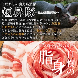 a311 鹿児島黒豚「短鼻豚」無添加とろとろ豚足(タレなし・計6パック)【鹿児島ますや】姶良市 国産 とんそく 無添加 惣菜 おかず おつまみ 冷凍 黒豚 温めるだけ