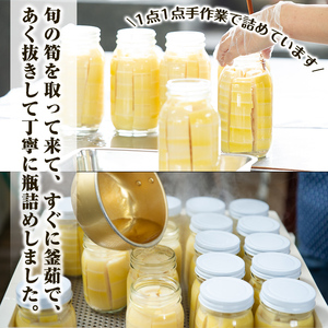 a530 《先行予約受付中！2026年6月以降順次発送予定》数量限定！黄金北山筍(小)250g×6本合計約1.5kg【北山校区コミュニティ協議会】国産 鹿児島県産 たけのこ タケノコ 水煮 野菜 瓶 瓶詰め 小分け