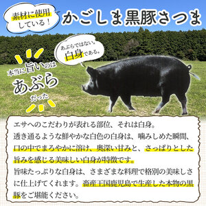 a563 「かごしま黒豚さつま」デミグラスハンバーグ1.5kg(150g×10パック)【AKR Food Company】姶良市 ハンバーグ デミソース 国産 鹿児島県産 肉 豚 豚肉 惣菜 総菜 冷凍ハンバーグ おかず 温めるだけ 湯煎 簡単 冷凍 個包装 小分け 1人暮らし