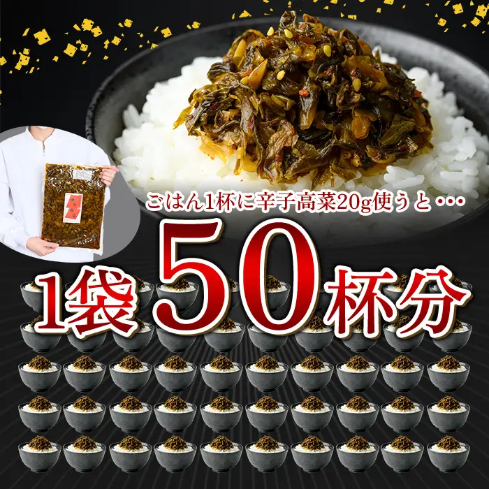 a568-B 九州産辛子高菜4kg(1kg×4パック)【九州新進】姶良市 国産 九州産 たかな 漬物 漬け物 ご飯のお供 おかず おつまみ おにぎり 常温 常温保存