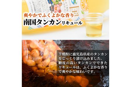 a580 南国タンカン・春ウコンリキュールセット(各900ml)鹿児島県産芋焼酎にタンカンや屋久島産春ウコンを使用したリキュール【南国酒蔵88】