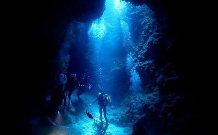 チケット ファンダイビング ｜ 中級 2DIVE×1名様 万座近海【恩納村ラグーン】