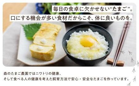 森のたまご農園 平飼い卵 24個 たまご 飛騨高山  LW005