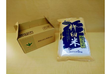【無洗米12ヶ月定期便】特別栽培「きなうす米」北海道産ゆめぴりか5kg×12回