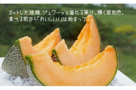 甘～い贅沢「特選甘熟レッドメロン」1玉