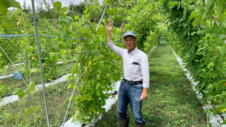 嬬恋村 浅間高原特産【 大粒 】花豆 甘露煮 5袋 数量限定 [AI004tu]