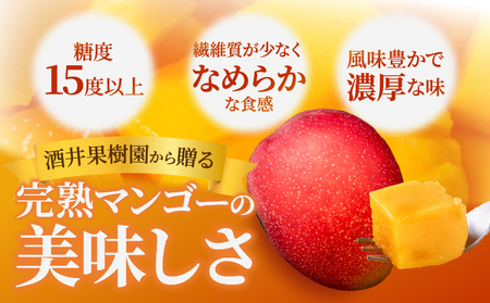 ≪ 先行予約 ≫ 糖度15度以上!! 数量限定 南国宮崎 完熟マンゴー 2L 2玉_BD73-23
