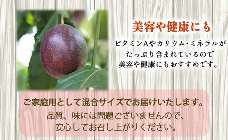 【2026年発送】先行受付 パッションフルーツ 家庭用1kg 果物 フルーツ トロピカルフルーツ AJ-27