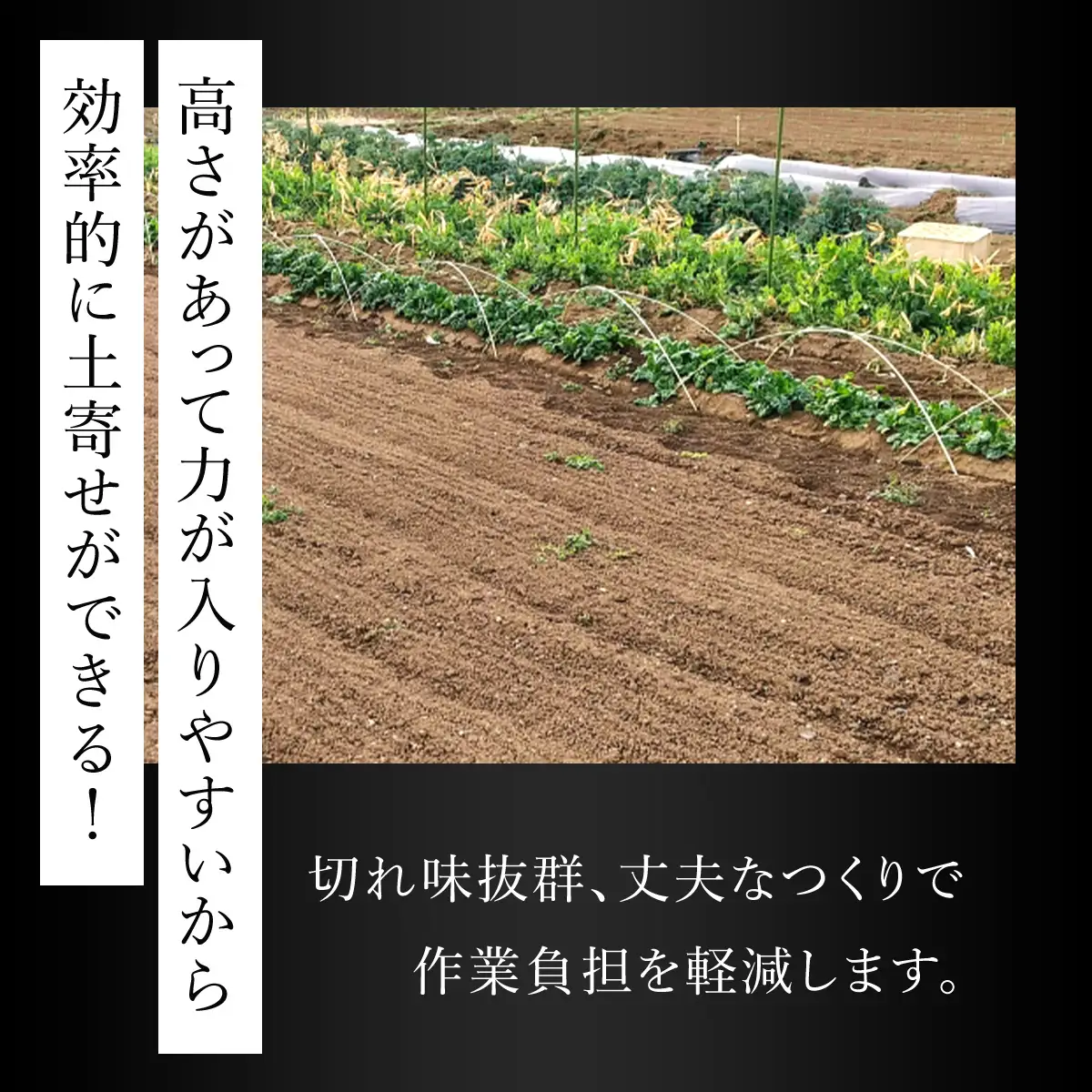 鍛造農具 鉄大正鍬 ANF005