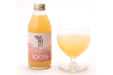 りんごジュース RICH APPLE 飲み比べ 12本セット（250ml×12本）
