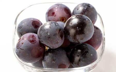 【新鮮・産直】和歌山かつらぎ町産たねなしピオーネ約2kg【2026年8月中旬～2026年9月中旬頃に順次発送予定】【TM164】【TM008-tec500B】