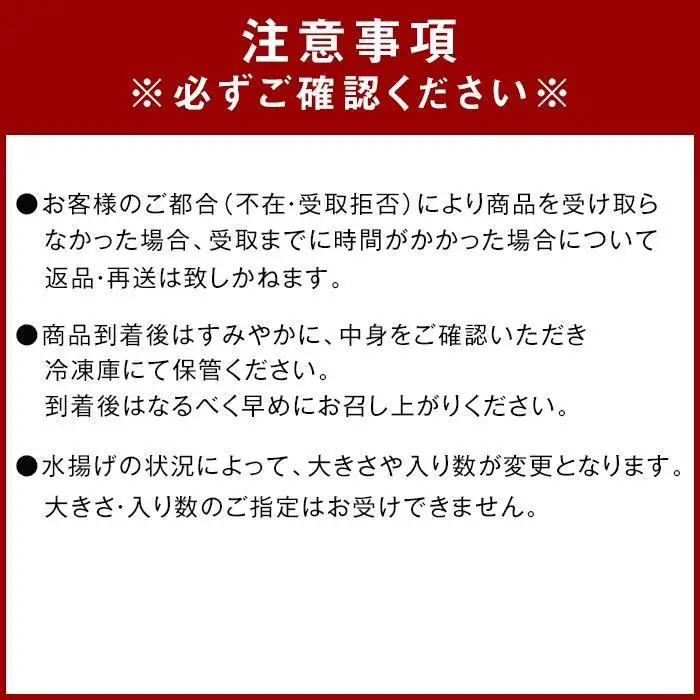 冷凍 伊勢海老 お鍋用 約 1kg 産地直送
