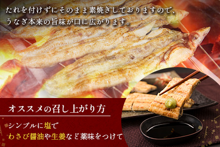 【2週間以内発送】うなぎ 白焼き 4尾 計600g以上 鰻 化粧箱入り D135