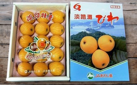 【期間限定・数量限定】 淡路島灘びわ ◆配送6月中旬～