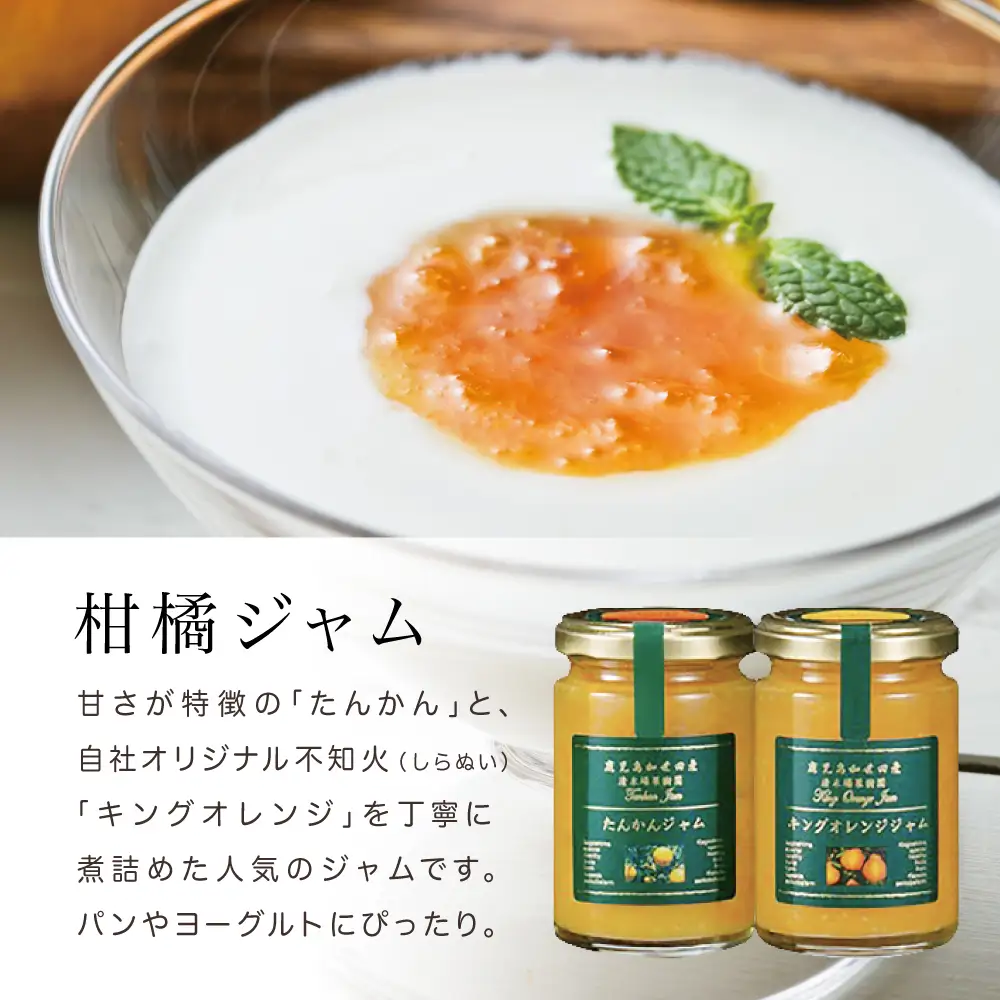 柑橘ジャム＆シロップ４本セット ＜タンカン・キングオレンジ＞ フルーツシロップ 柑橘 果物 フルーツ ジュース フルーツソース ドリンク ジュース 炭酸割り ハイボール カクテル かき氷 ヨーグルト アイス パンケーキ ギフト 贈答 清木場果樹園 鹿児島県 南さつま市