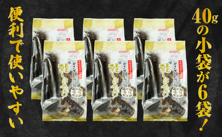 【3ヶ月定期便】 乾燥しいたけ 240g（40g×6袋）×3回 720g しいたけ 定期便 定期 定期的 国産 宮崎県産 原木 栽培 乾燥 干し椎茸 原木椎茸 国産しいたけ 小分け 袋 小袋 普段使い 使い勝手 使い切り 肉厚 旨み 香り グルメ お取り寄せ 宮崎県 高千穂町 _Tk004-t042
