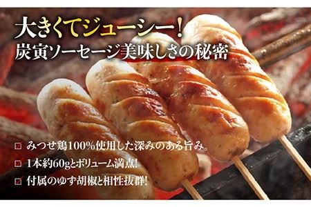佐賀県産 みつせ鶏つくね6個・みつせ鶏ソーセージ6本ギフトセット [FCI005]