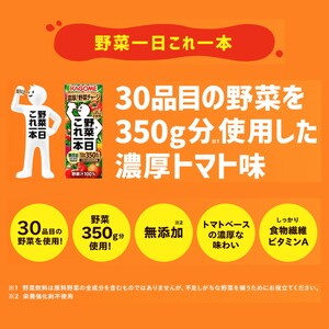 【 定期便2ヶ月連続お届け 】 カゴメ野菜一日これ一本 200ml×24 飲料 野菜ジュース 紙パック