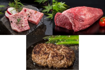 【全12回】毎月お届け 佐賀牛 定期便 総計15.5kg 999-J475
