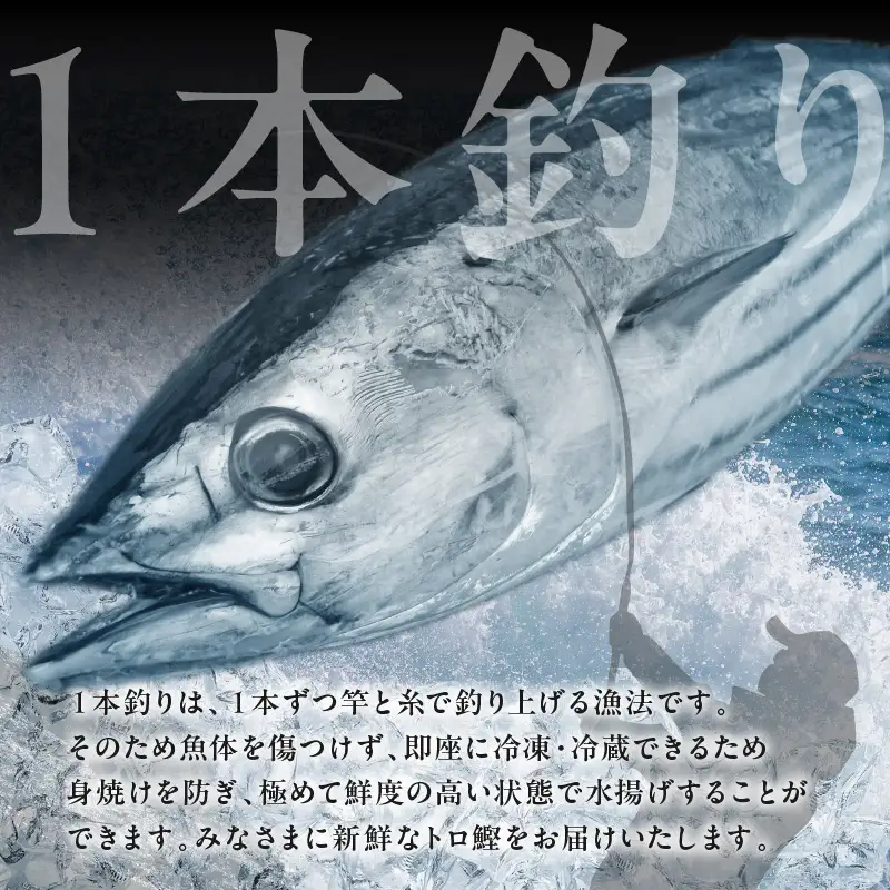 トロ鰹たたき 1.2kg 備長炭仕上げ