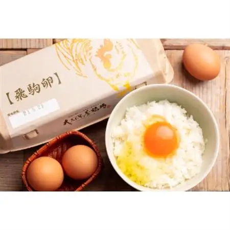 佐野市飛駒町産　大久保養鶏場　飛駒卵　60個(10個入り×6パック)_卵・乳製品 卵  たまご タマゴ 玉子_【配送不可地域：離島】【1225334】