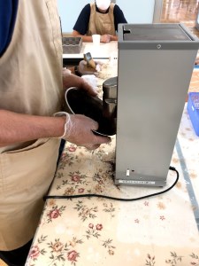 コーヒー ドリップパック 12パック入り 中煎り くすの木学園 障がい者支援 静岡県 富士市 [sf017-005]