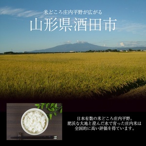 SC0694　令和7年産【精米】コシヒカリ　10kg(5kg×2袋) JS