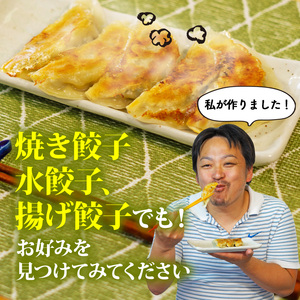 手作り餃子 手包み 生餃子 70個 にんにく 餃子