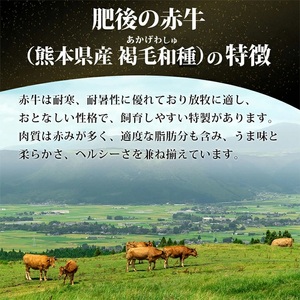 【阿蘇牧場】赤牛ハンバーグ 150g×10個 計1.5kg 1500g 熊本県産 褐毛和種 和牛100％ 阿蘇小国ジャージー4.5牛乳使用 大判 和牛ハンバーグ 小分け 個包装 焼くだけ簡単 冷凍 熊本 阿蘇 小国町
