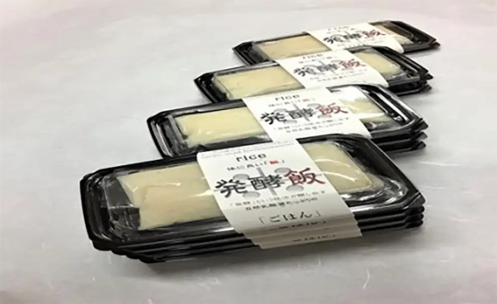 発酵飯10個【100g×10p】【AD24W】