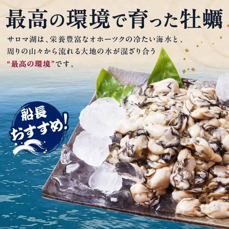 【予約：2026年10月下旬から順次発送】海のミルク サロマ湖産 カキ むき身 1kg ( 牡蠣 かき 1キロ 魚介 海鮮 貝 ふるさと納税 ) 【114-0003-2026】