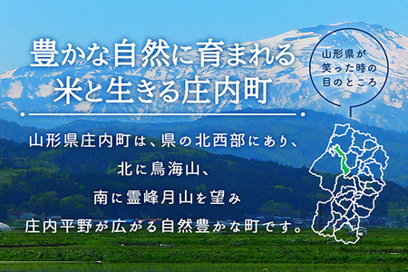庄内町産 はえぬき 6kg 2kg×3袋 令和7年産 2025年産 ブランド米 米 国産 単一原料米 山形 庄内平野 コシヒカリの原点、亀の尾発祥の地 庄内