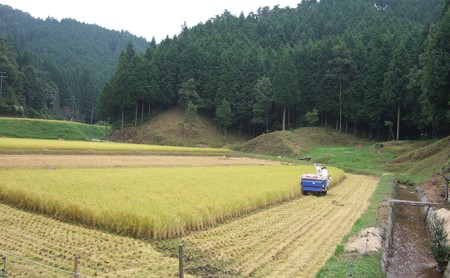 【絶品】全国で認められたうまさ！植田さんの受賞米食べ比べ2品種×2kg お米 京都 国産 金賞 