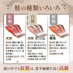 天然紅さけ切身 塩紅鮭（1袋4切入り5袋）20切 ふるさと納税 サケ 鮭
