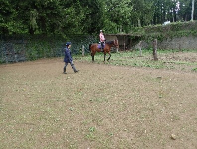乗馬 体験 まきば軽井沢 5級乗馬ライセンス取得コース 体験チケット 