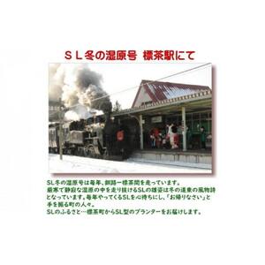 【ガーデニング】ＳＬプランター　380型　|  プランター