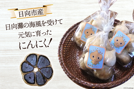 黒にんにく(200g×3袋)《国産・自家農園栽培・農薬不使用》 [甲斐自然派農園 宮崎県 日向市 452060130]