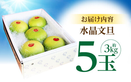 【先行予約】 南国土佐の女王柑橘 水晶文旦 約3kg 5玉入り〈2026年9月中旬～2026年12月中旬頃発送〉/ ぶんたん 文旦 3kg 3キロ フルーツ 高知 名物 果物 柑橘 ムッキー 【フルーツショップオザキ】[ATAH008]