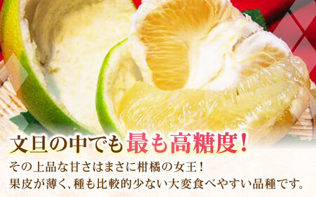 【先行予約】 南国土佐の女王柑橘 水晶文旦 約5kg 7玉入り〈2026年9月中旬～2026年12月中旬頃発送〉/ 大玉サイズ ぶんたん 文旦 5kg 5キロ フルーツ 高知 名物 果物 柑橘 ムッキー【フルーツショップオザキ】[ATAH010]