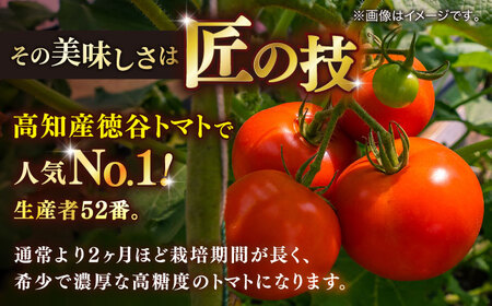 【先行予約】特選 徳谷トマト 約2kg 生産者52番 〈2026年1月中旬?2026年6月下旬頃発送〉/ トマト フルーツトマト 【フルーツショップオザキ】[ATAH014]