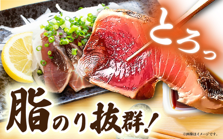 本場土佐の『鰹の藁やきたたき』1.5節~2節 約700g /かつお カツオ 鰹のタタキ  [ATAE001] 